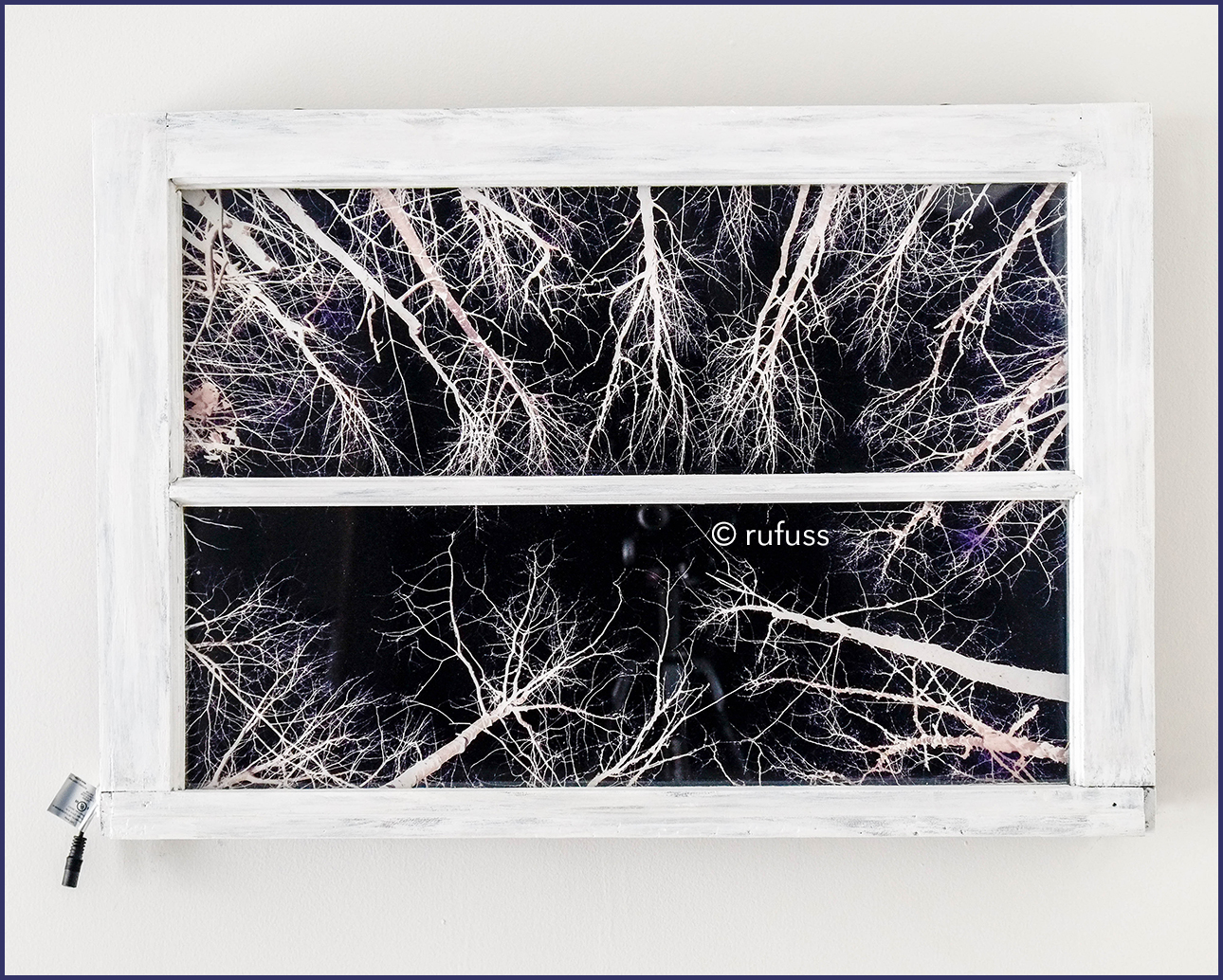 Birch Trees.  Window Lightbox by Rufuss.  Distressed paint treatment.  