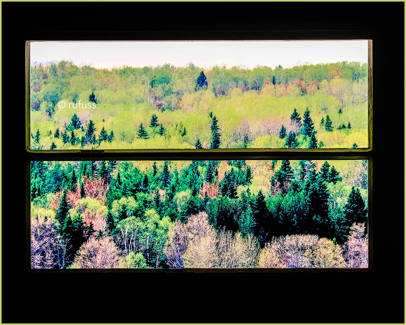 Spring Trees.  Baie-Saint_Paul, Quebec.  Window Lightbox by Rufuss.  